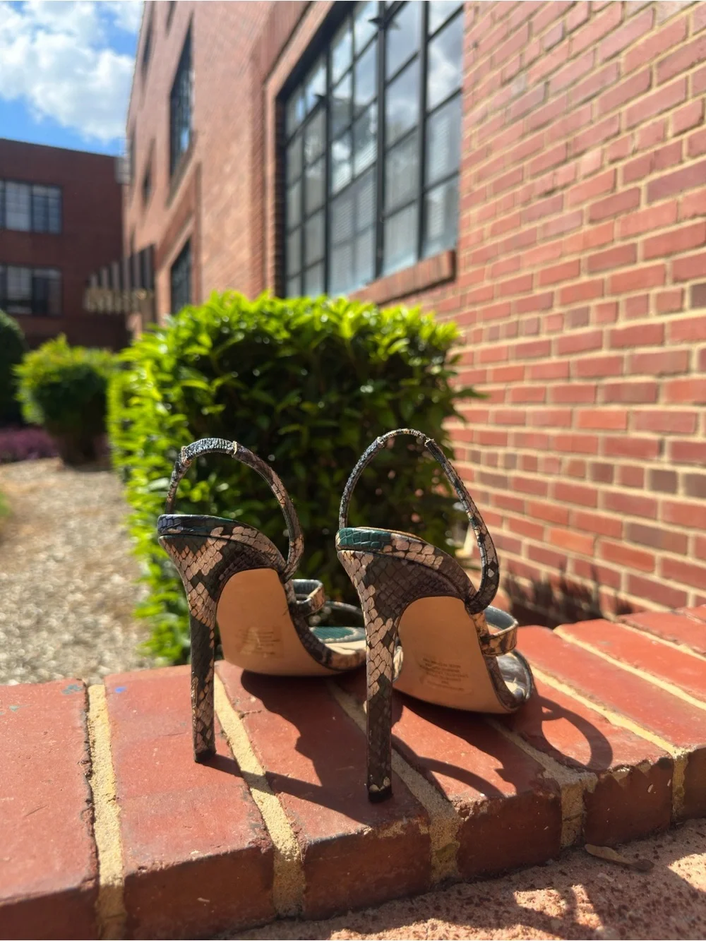 Steve Madden Snakeskin Slingback Heels Green Square Toe Stiletto